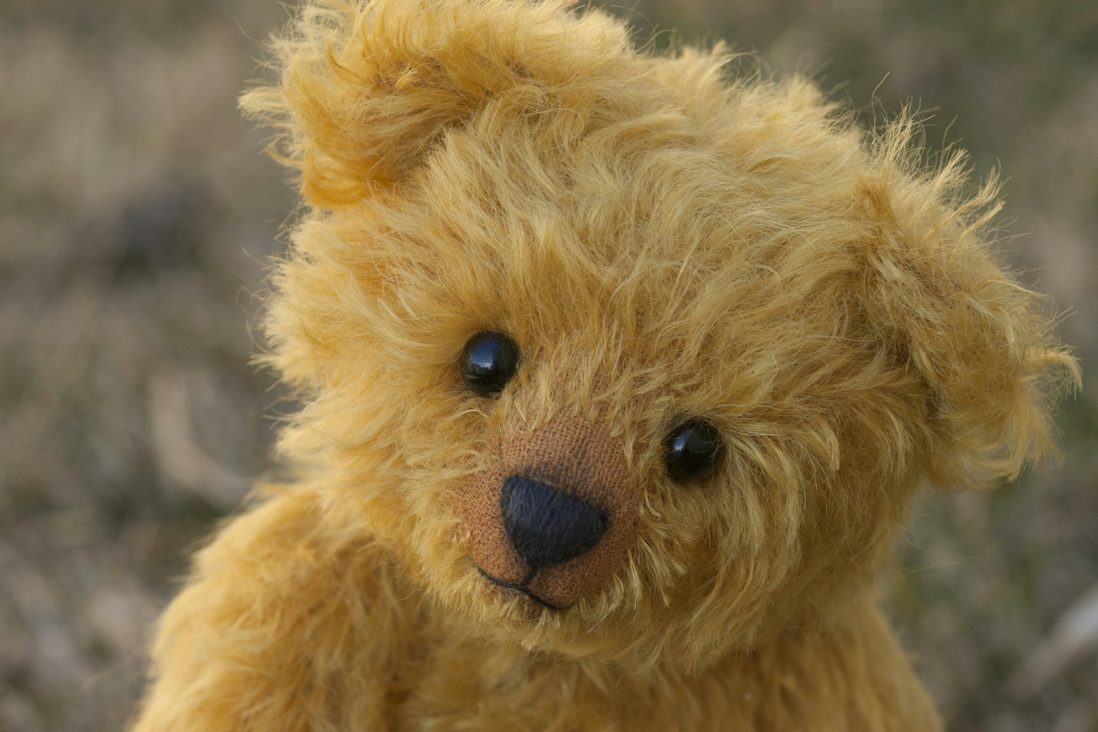 Stuffed Bear Plush