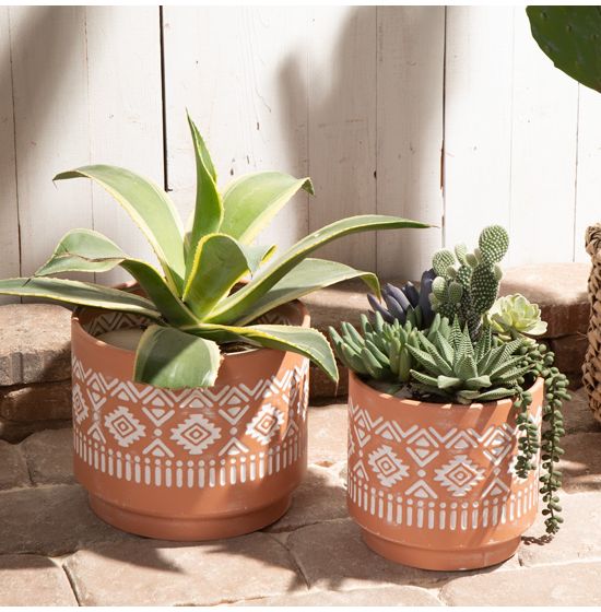 Terracotta Planter Set