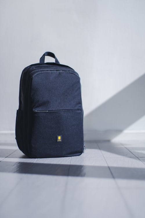 Designer Backpack